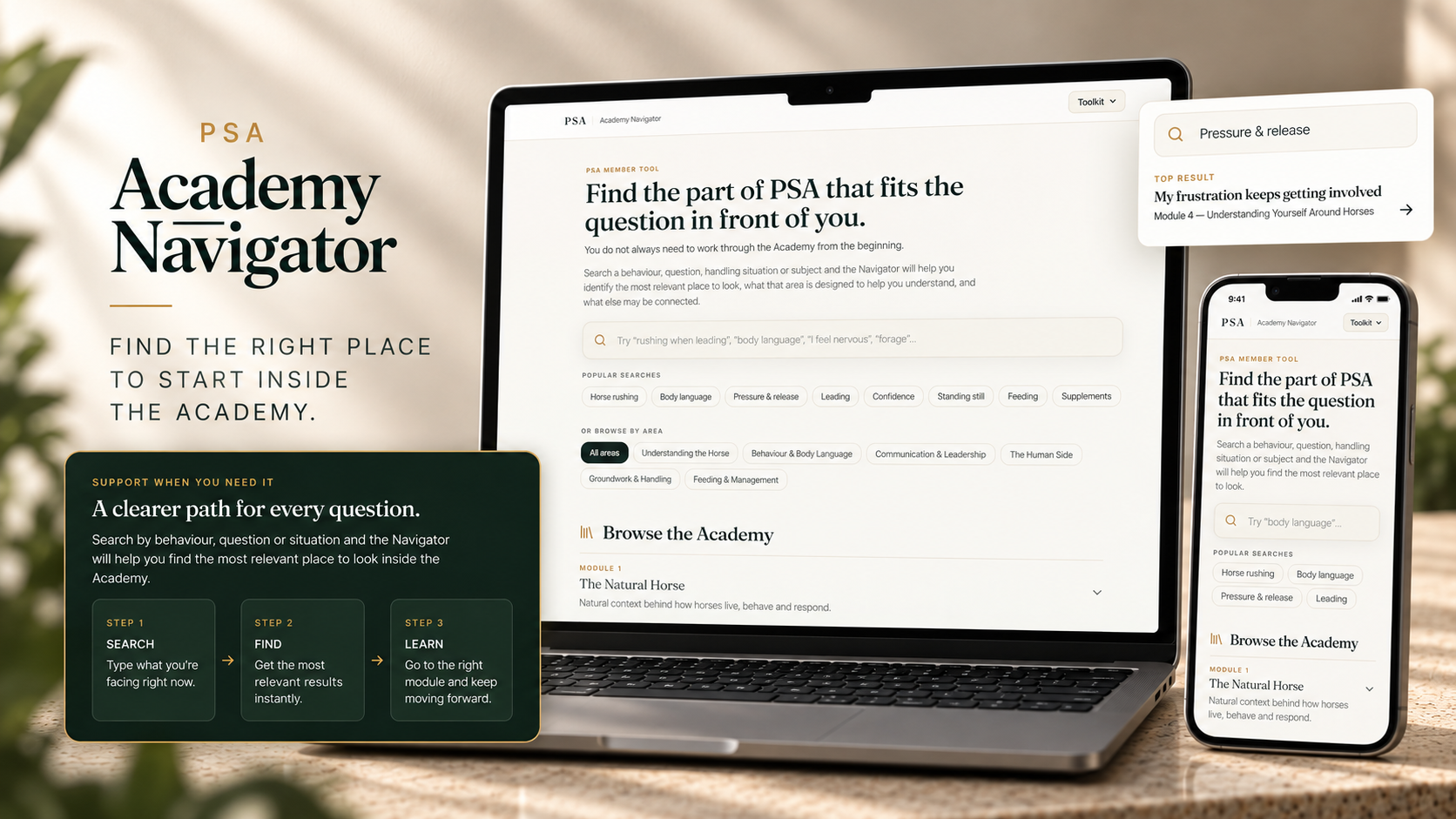 PSA Academy Navigator — PSA Toolkit preview